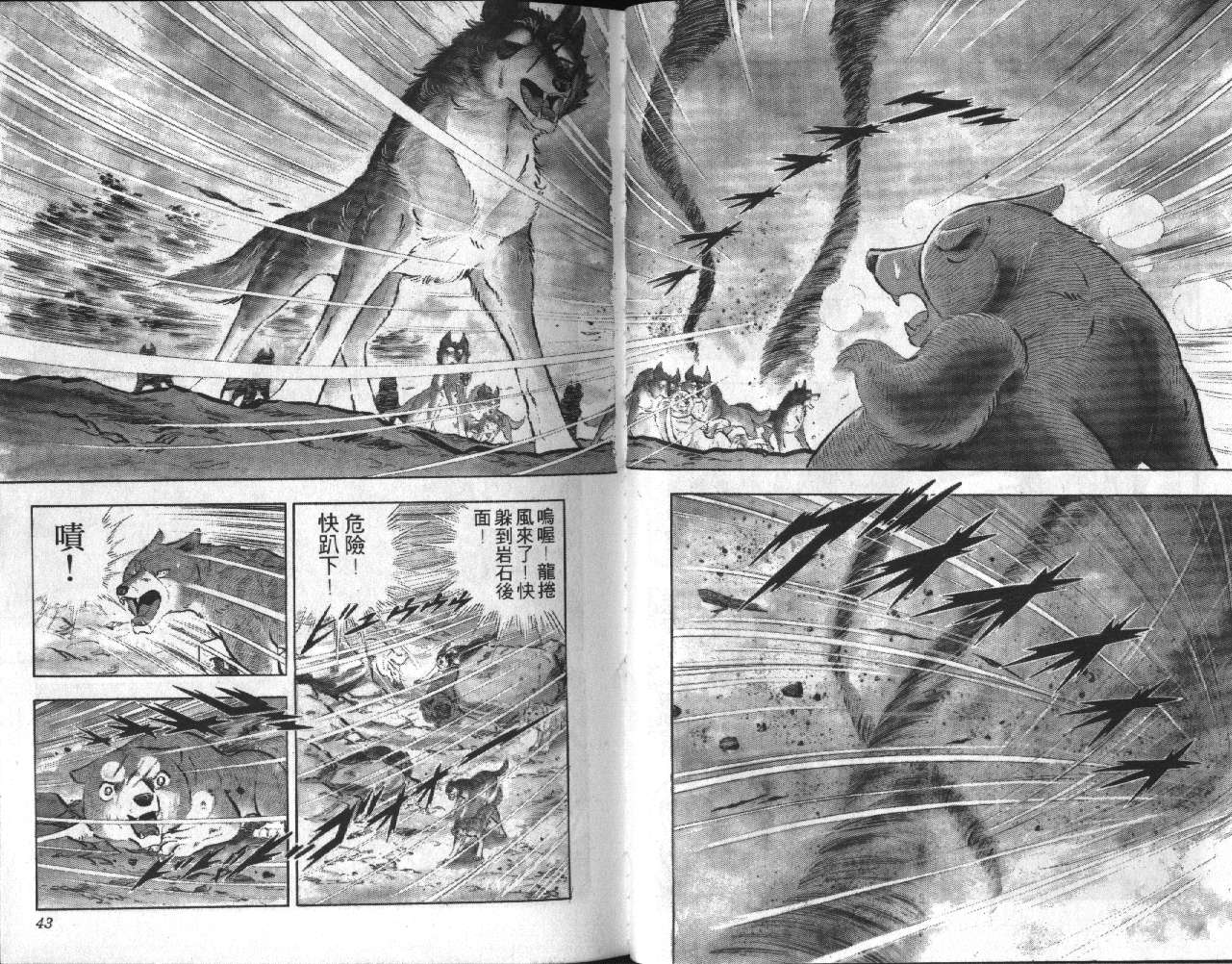 银牙虎纹猎犬物语韩漫全集-VOL14无删减无遮挡章节图片 
