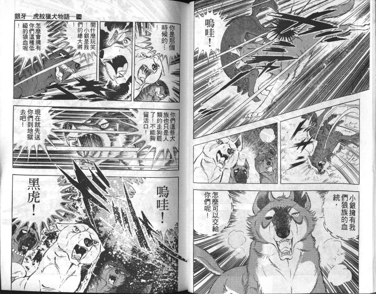 银牙虎纹猎犬物语韩漫全集-VOL14无删减无遮挡章节图片 