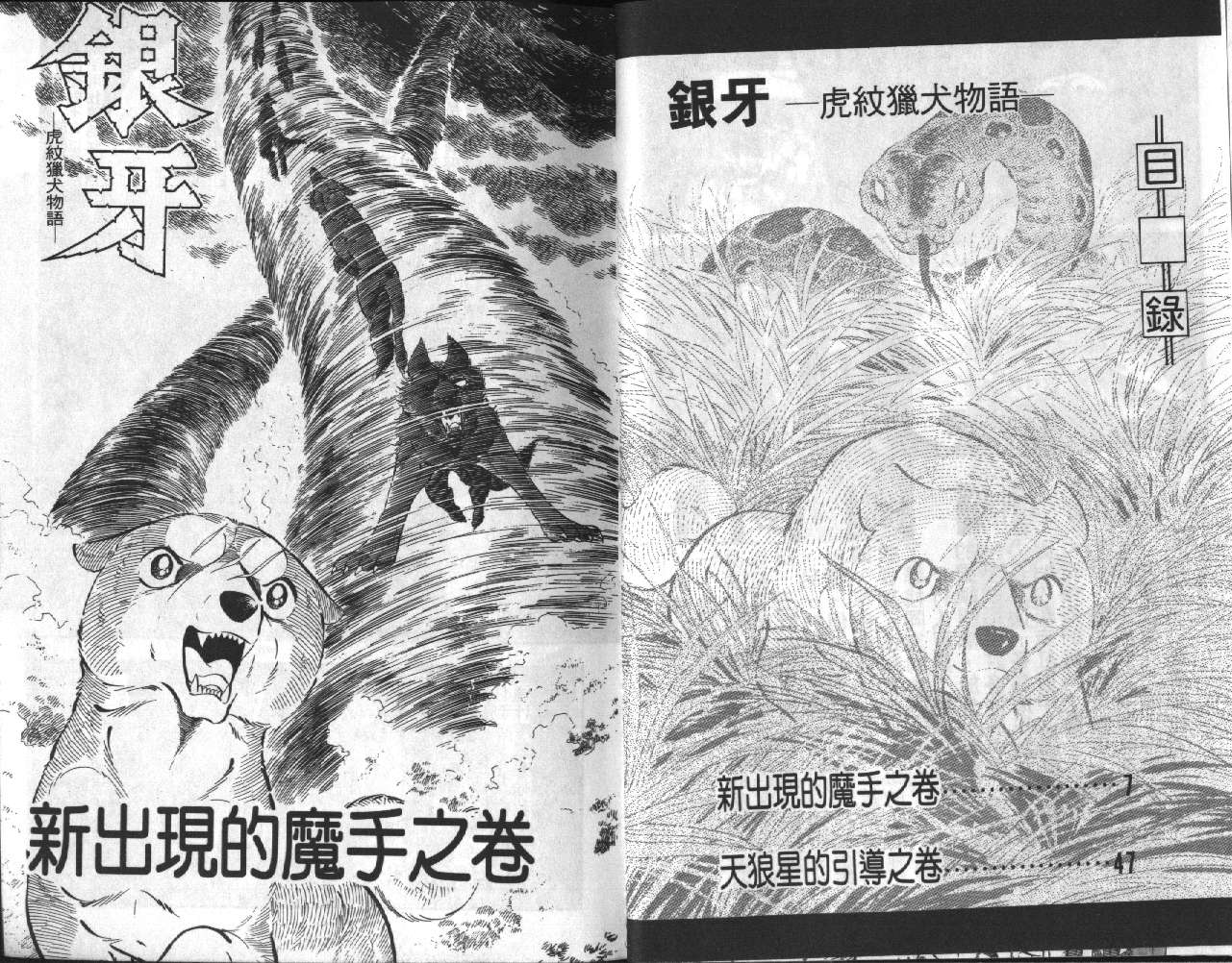 银牙虎纹猎犬物语韩漫全集-VOL14无删减无遮挡章节图片 