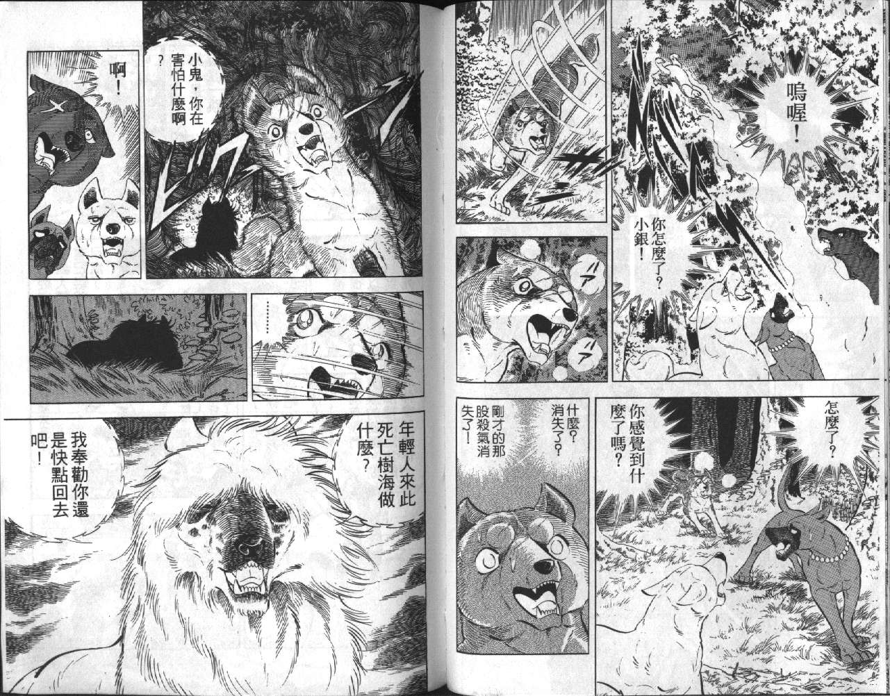 银牙虎纹猎犬物语韩漫全集-VOL14无删减无遮挡章节图片 