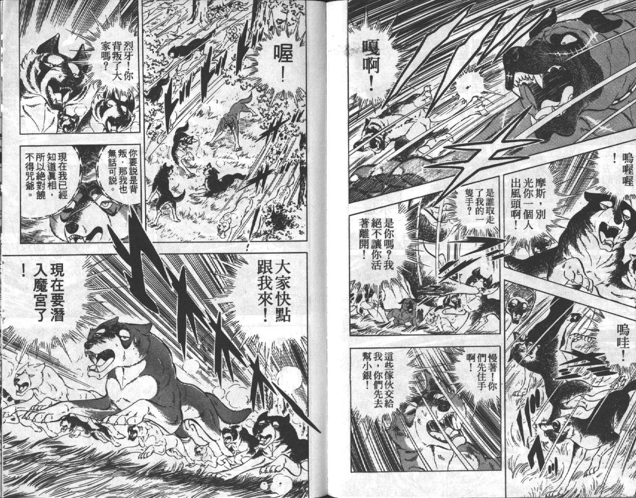 银牙虎纹猎犬物语韩漫全集-VOL15无删减无遮挡章节图片 