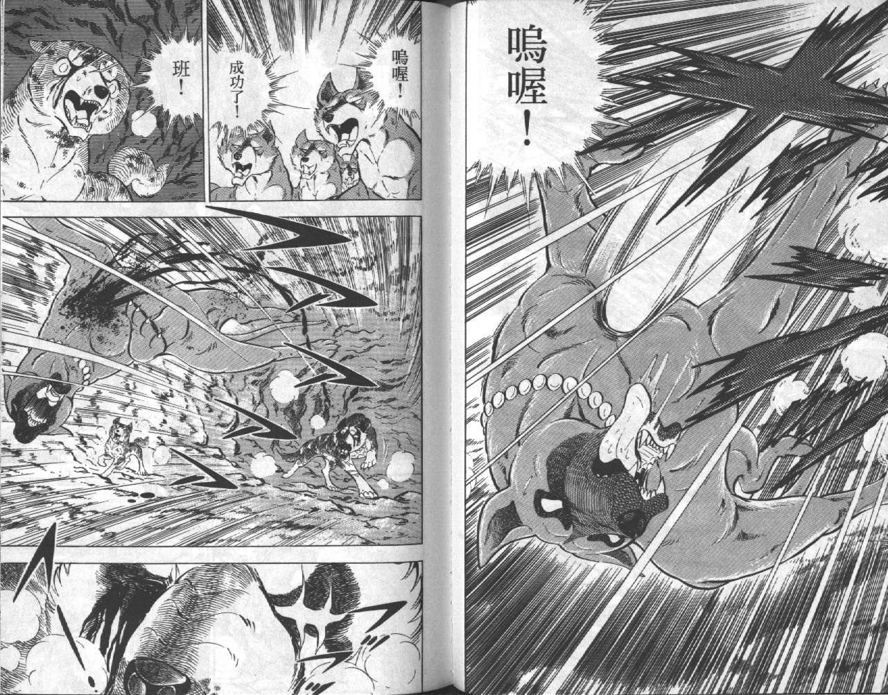 银牙虎纹猎犬物语韩漫全集-VOL15无删减无遮挡章节图片 