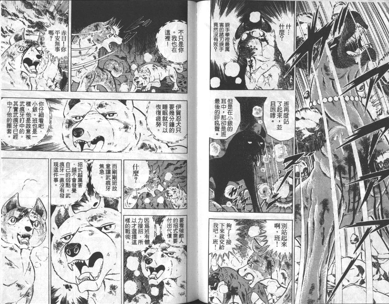 银牙虎纹猎犬物语韩漫全集-VOL15无删减无遮挡章节图片 
