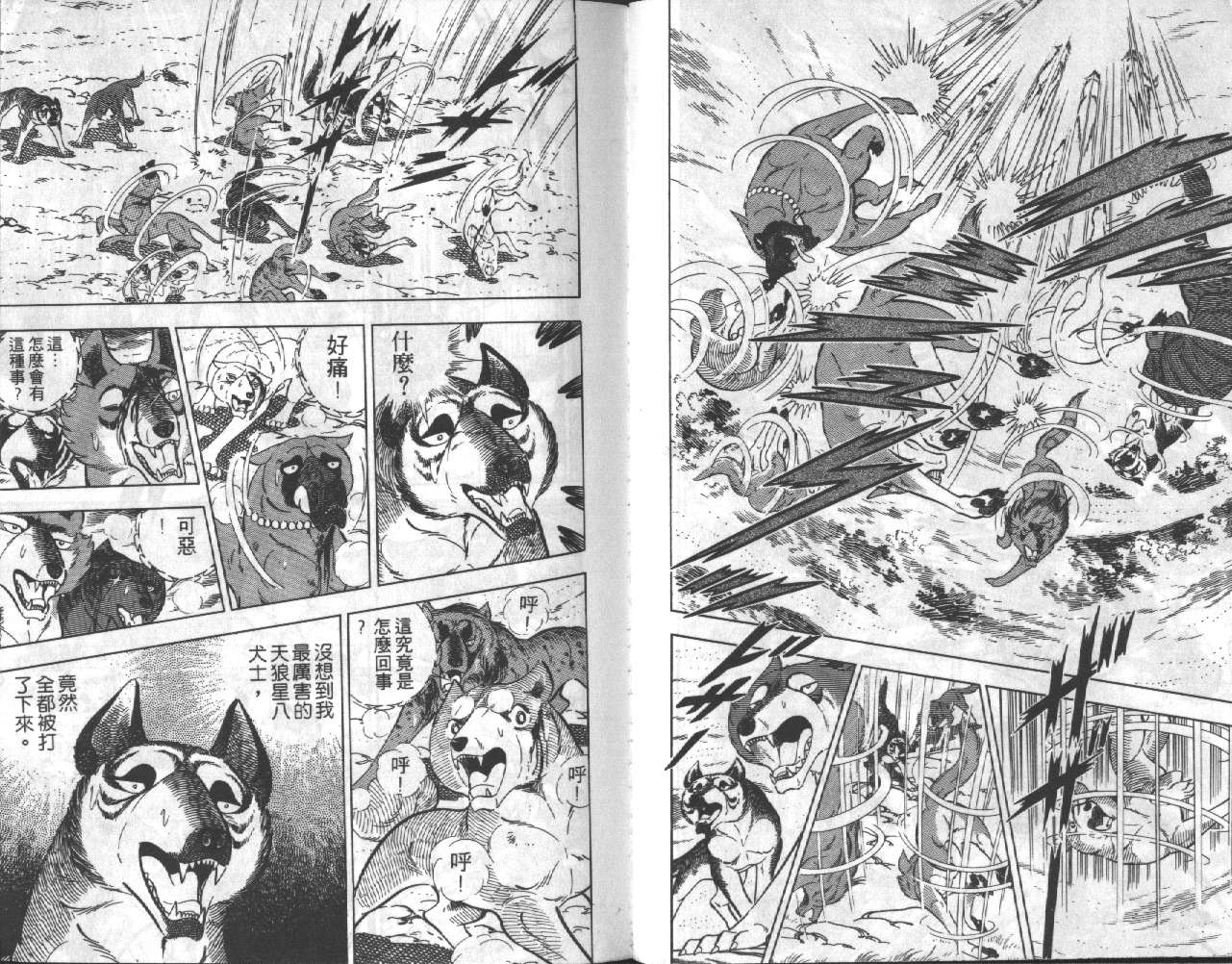 银牙虎纹猎犬物语韩漫全集-VOL17无删减无遮挡章节图片 