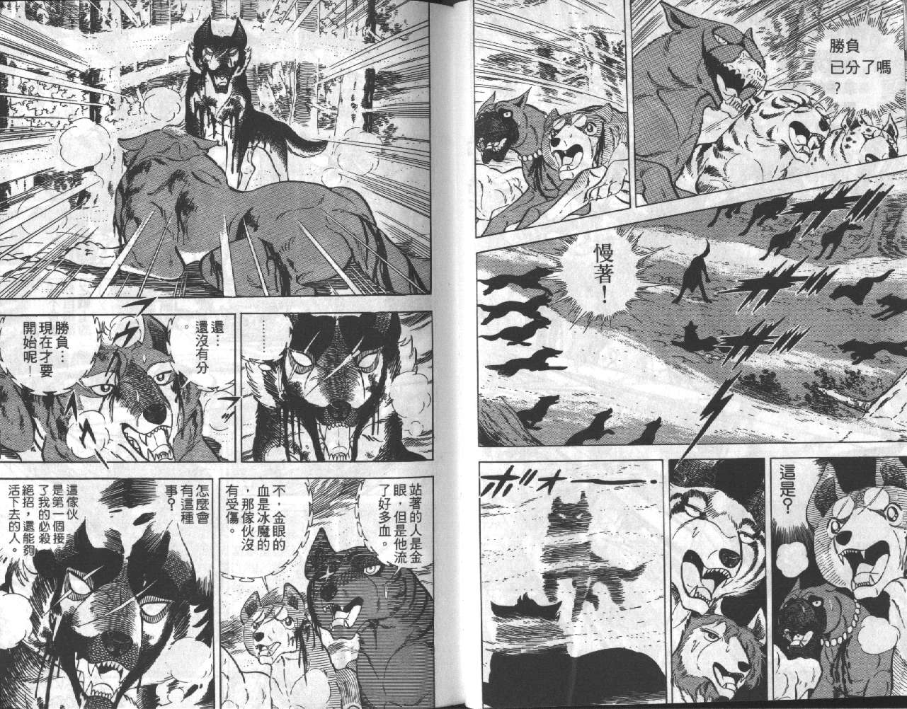 银牙虎纹猎犬物语韩漫全集-VOL17无删减无遮挡章节图片 