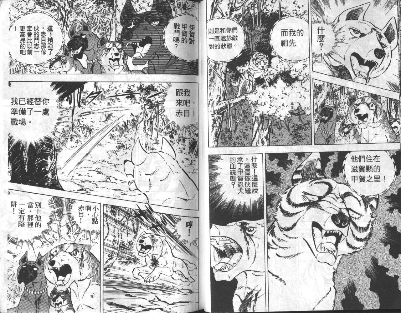 银牙虎纹猎犬物语韩漫全集-VOL17无删减无遮挡章节图片 