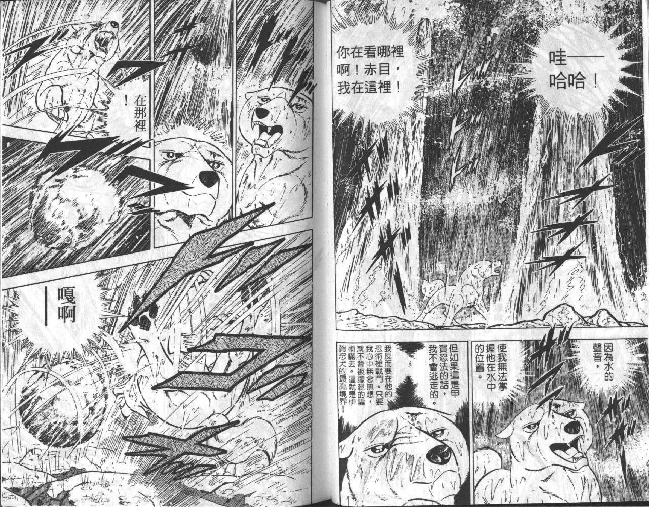 银牙虎纹猎犬物语韩漫全集-VOL17无删减无遮挡章节图片 