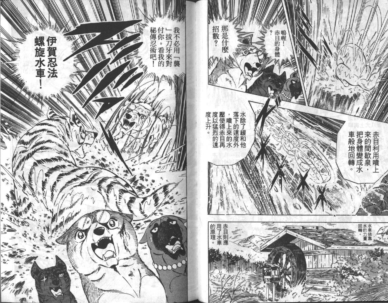 银牙虎纹猎犬物语韩漫全集-VOL17无删减无遮挡章节图片 