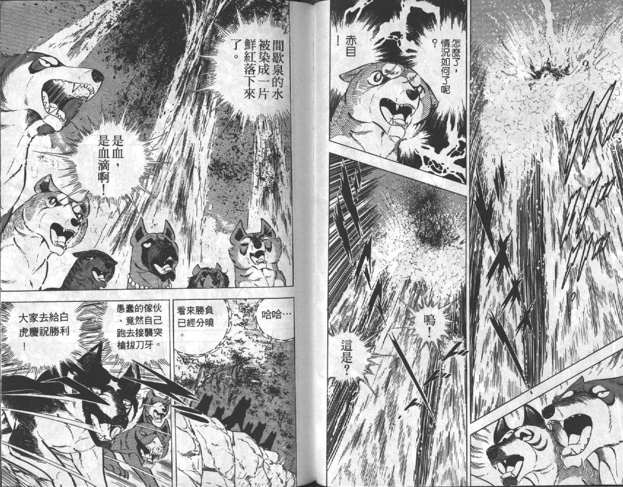 银牙虎纹猎犬物语韩漫全集-VOL17无删减无遮挡章节图片 
