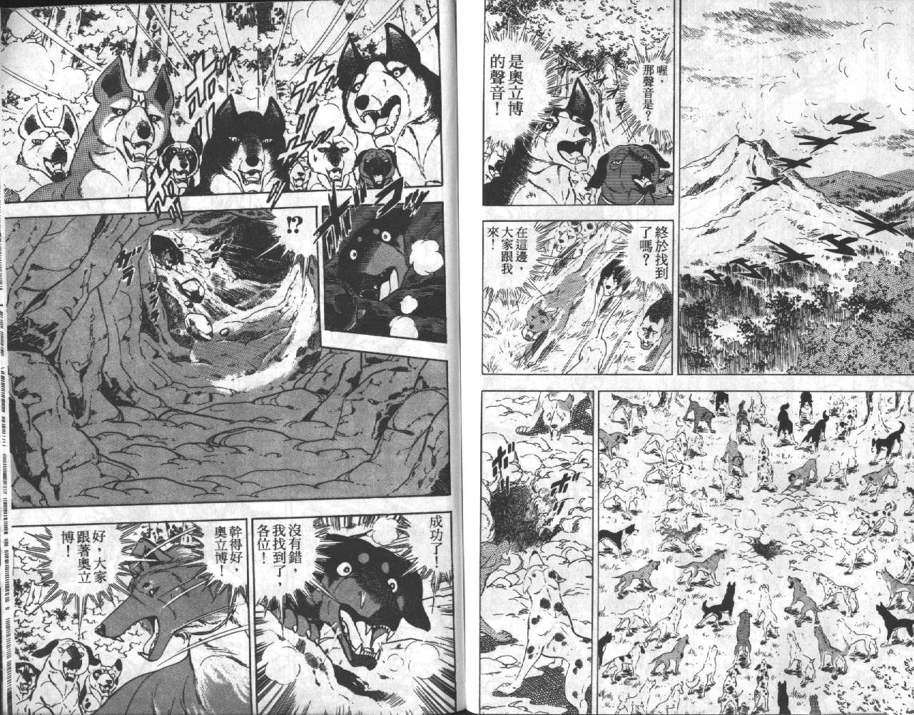 银牙虎纹猎犬物语韩漫全集-VOL17无删减无遮挡章节图片 