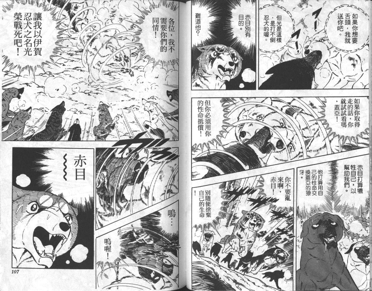 银牙虎纹猎犬物语韩漫全集-VOL18无删减无遮挡章节图片 