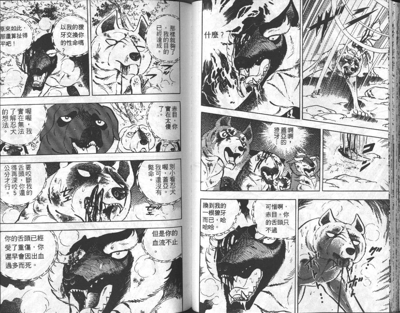 银牙虎纹猎犬物语韩漫全集-VOL18无删减无遮挡章节图片 