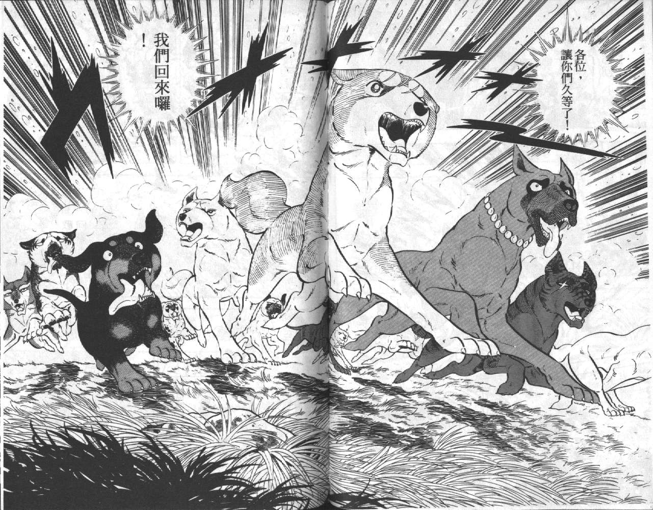 银牙虎纹猎犬物语韩漫全集-VOL18无删减无遮挡章节图片 
