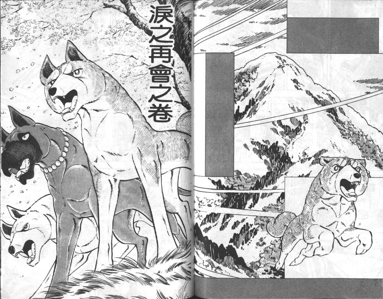 银牙虎纹猎犬物语韩漫全集-VOL18无删减无遮挡章节图片 