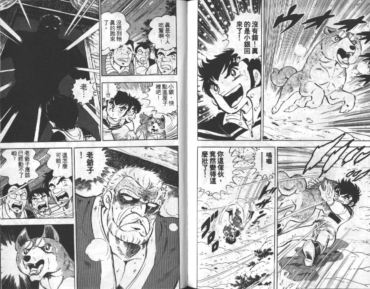 银牙虎纹猎犬物语韩漫全集-VOL18无删减无遮挡章节图片 