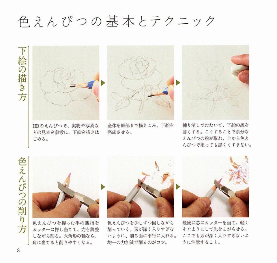 Lovely flowers and plants with colored pencils韩漫全集-全一册无删减无遮挡章节图片 