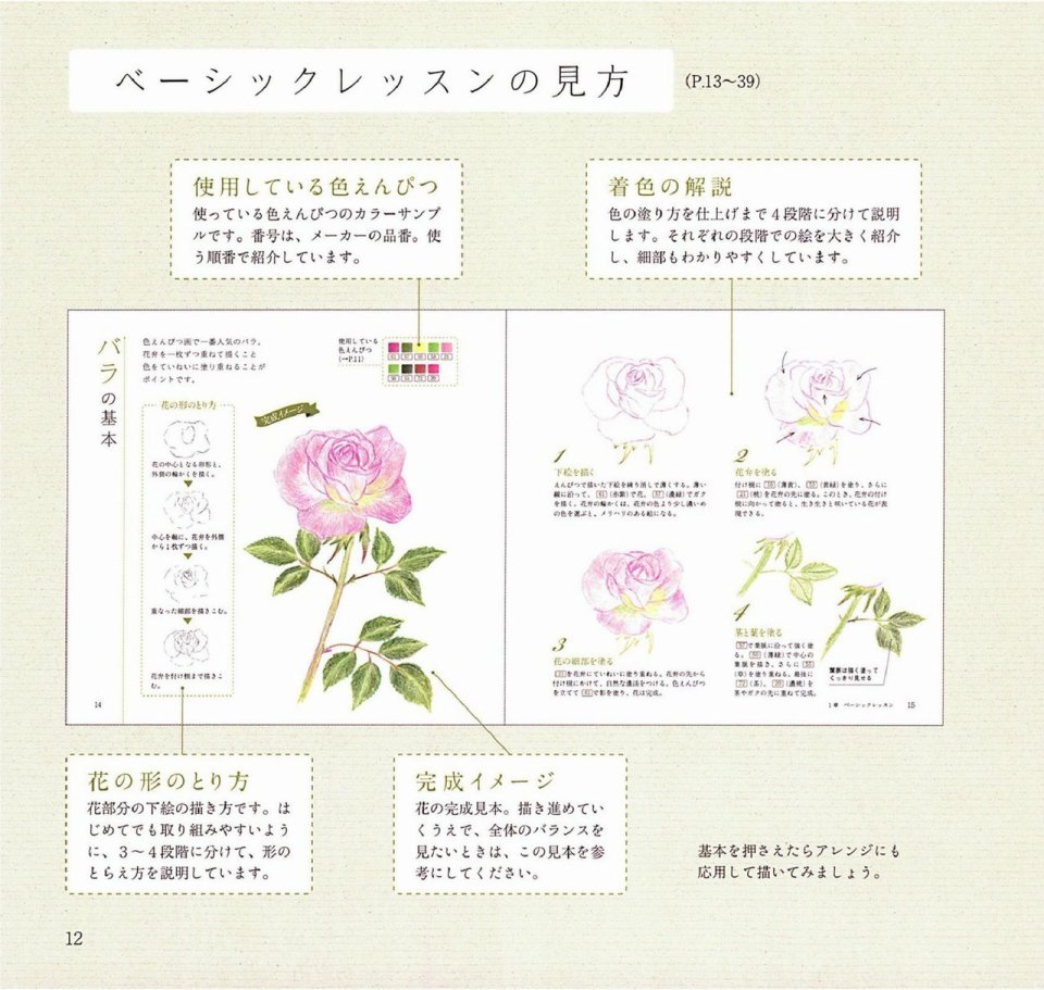 Lovely flowers and plants with colored pencils韩漫全集-全一册无删减无遮挡章节图片 