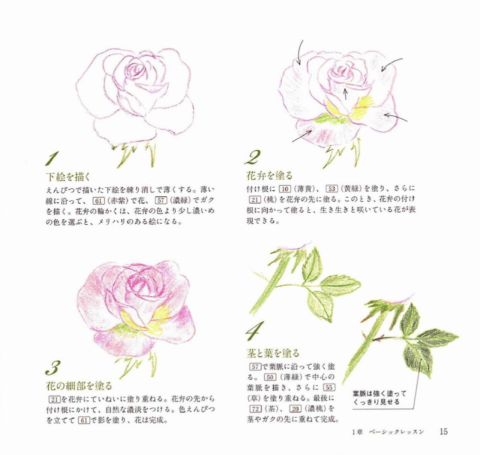 Lovely flowers and plants with colored pencils韩漫全集-全一册无删减无遮挡章节图片 