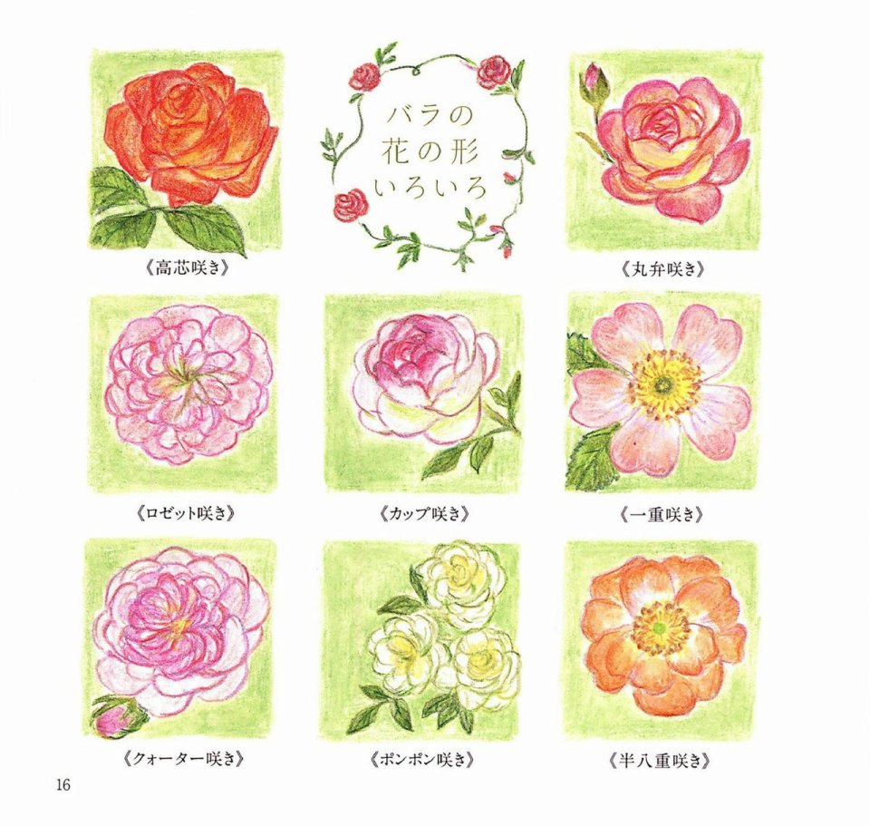 Lovely flowers and plants with colored pencils韩漫全集-全一册无删减无遮挡章节图片 