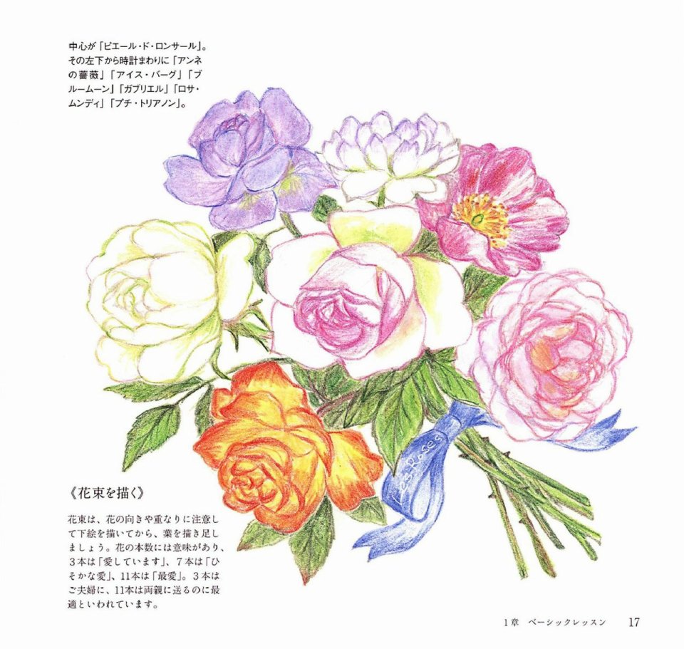 Lovely flowers and plants with colored pencils韩漫全集-全一册无删减无遮挡章节图片 