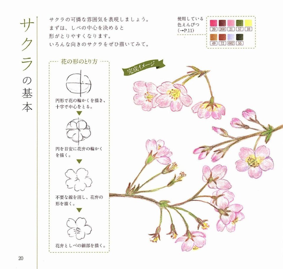 Lovely flowers and plants with colored pencils韩漫全集-全一册无删减无遮挡章节图片 