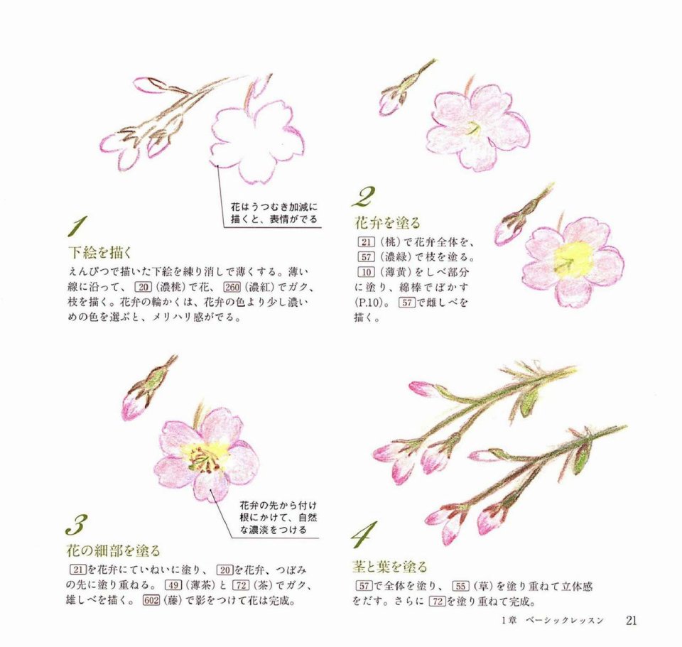Lovely flowers and plants with colored pencils韩漫全集-全一册无删减无遮挡章节图片 