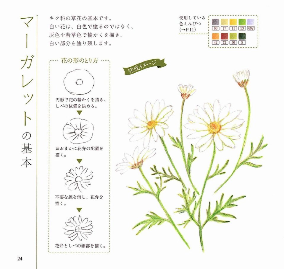 Lovely flowers and plants with colored pencils韩漫全集-全一册无删减无遮挡章节图片 