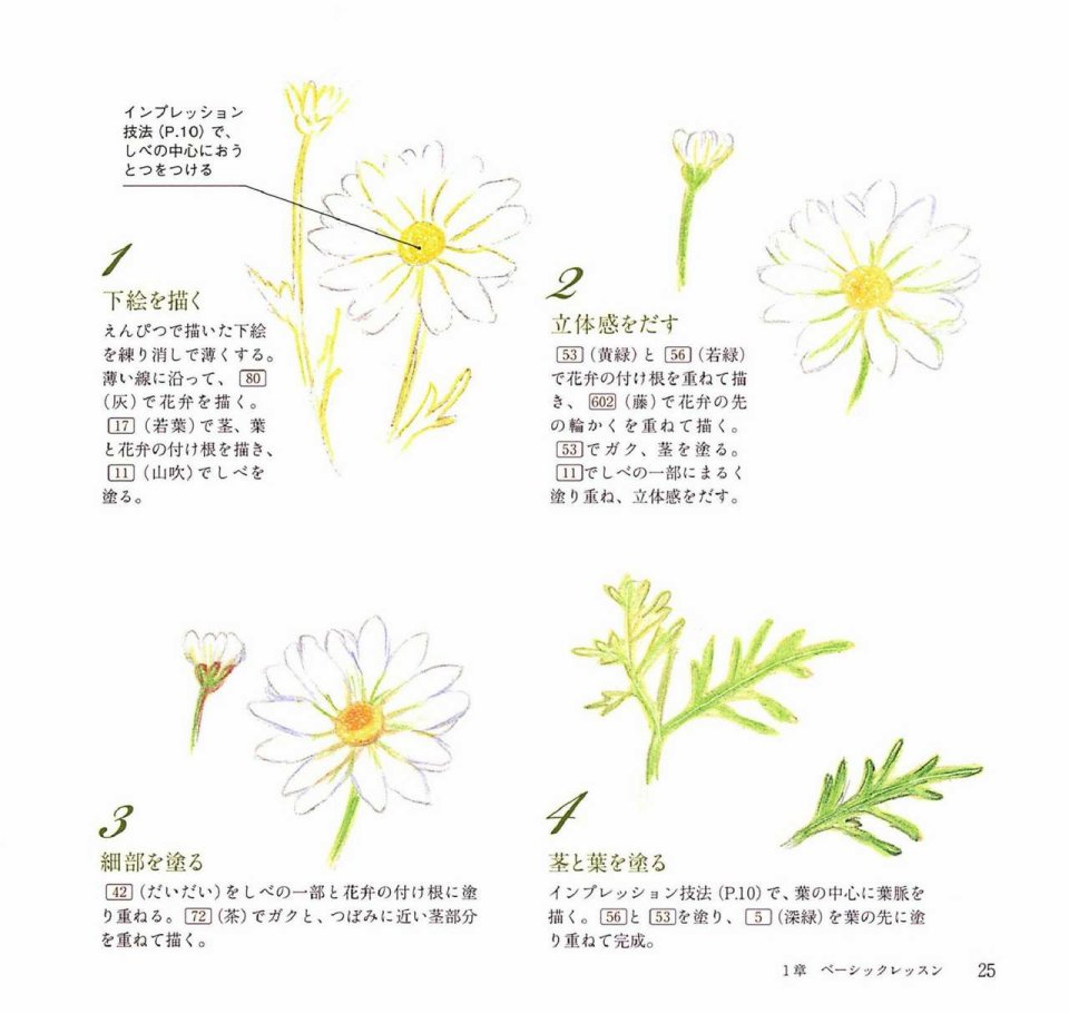 Lovely flowers and plants with colored pencils韩漫全集-全一册无删减无遮挡章节图片 