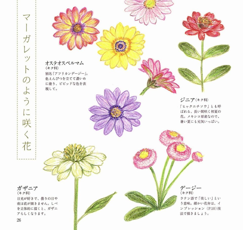 Lovely flowers and plants with colored pencils韩漫全集-全一册无删减无遮挡章节图片 