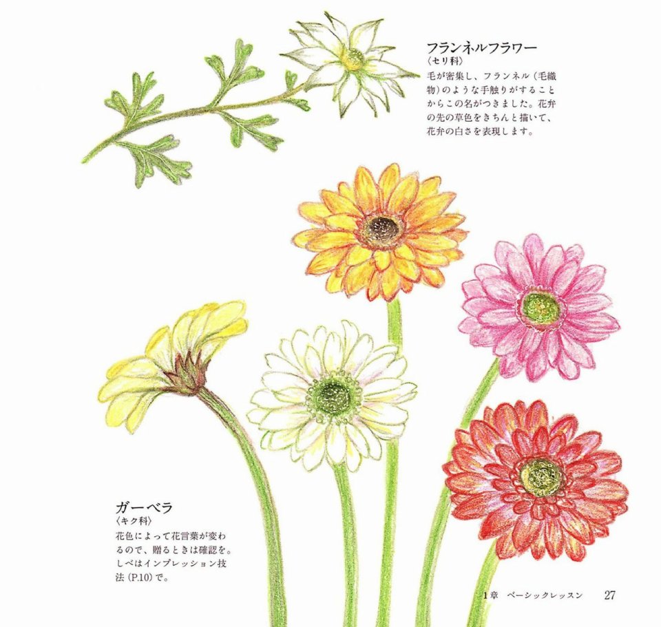 Lovely flowers and plants with colored pencils韩漫全集-全一册无删减无遮挡章节图片 