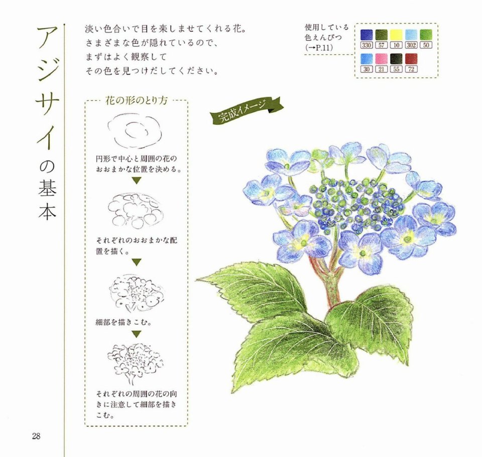 Lovely flowers and plants with colored pencils韩漫全集-全一册无删减无遮挡章节图片 