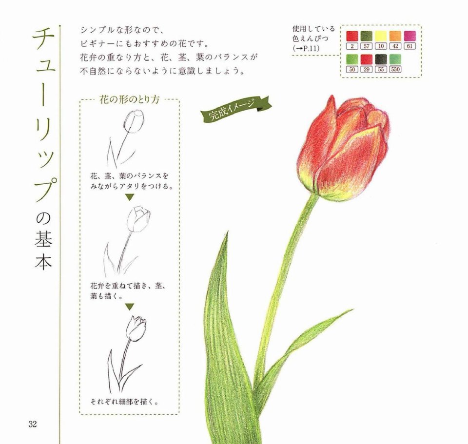 Lovely flowers and plants with colored pencils韩漫全集-全一册无删减无遮挡章节图片 