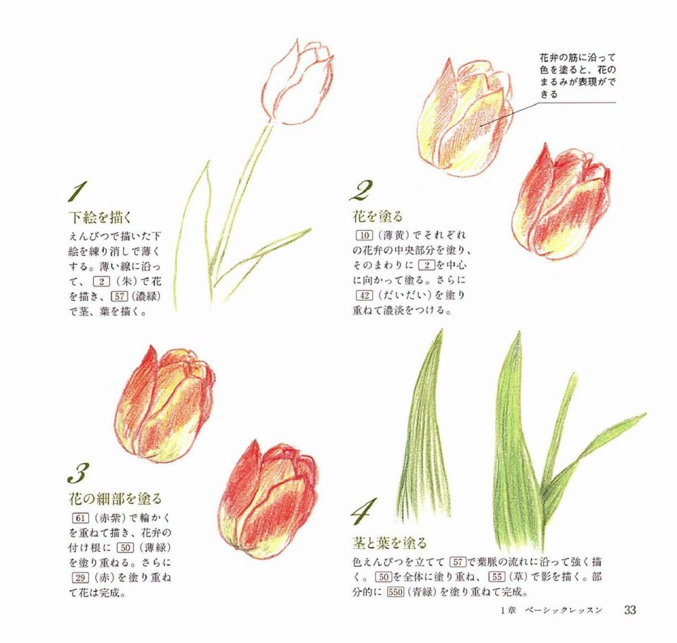 Lovely flowers and plants with colored pencils韩漫全集-全一册无删减无遮挡章节图片 