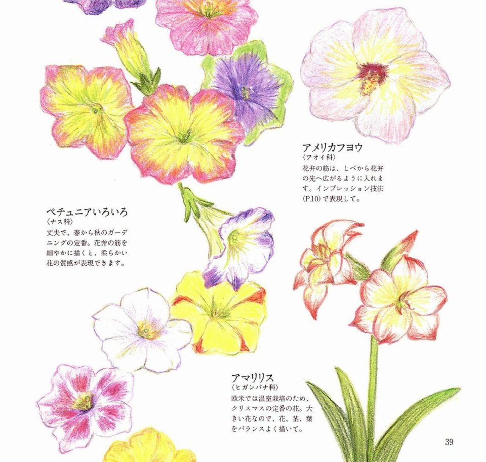 Lovely flowers and plants with colored pencils韩漫全集-全一册无删减无遮挡章节图片 