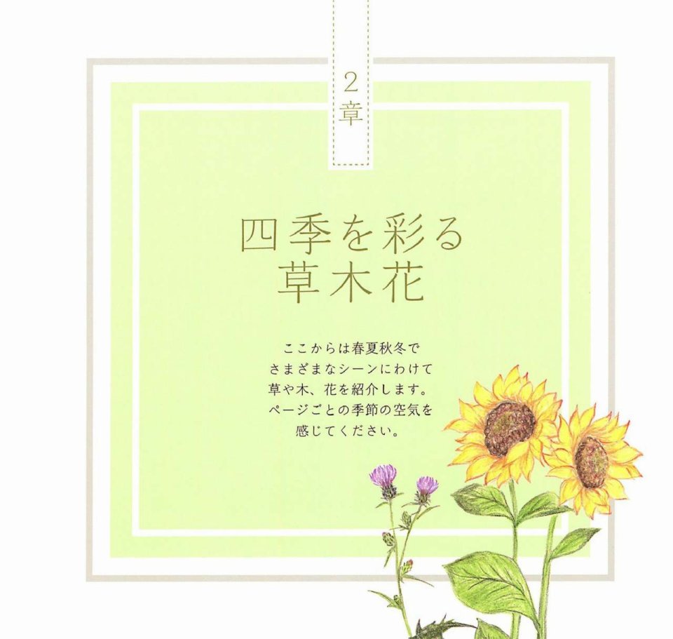 Lovely flowers and plants with colored pencils韩漫全集-全一册无删减无遮挡章节图片 