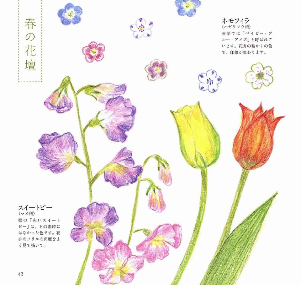 Lovely flowers and plants with colored pencils韩漫全集-全一册无删减无遮挡章节图片 