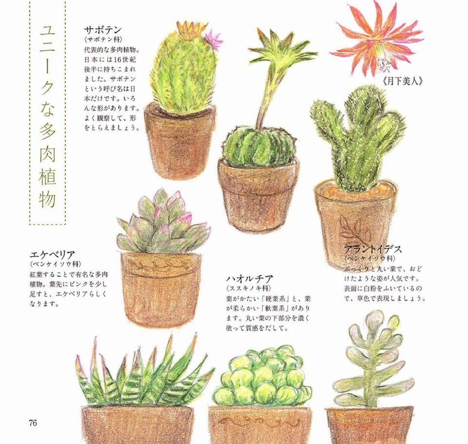 Lovely flowers and plants with colored pencils韩漫全集-全一册无删减无遮挡章节图片 