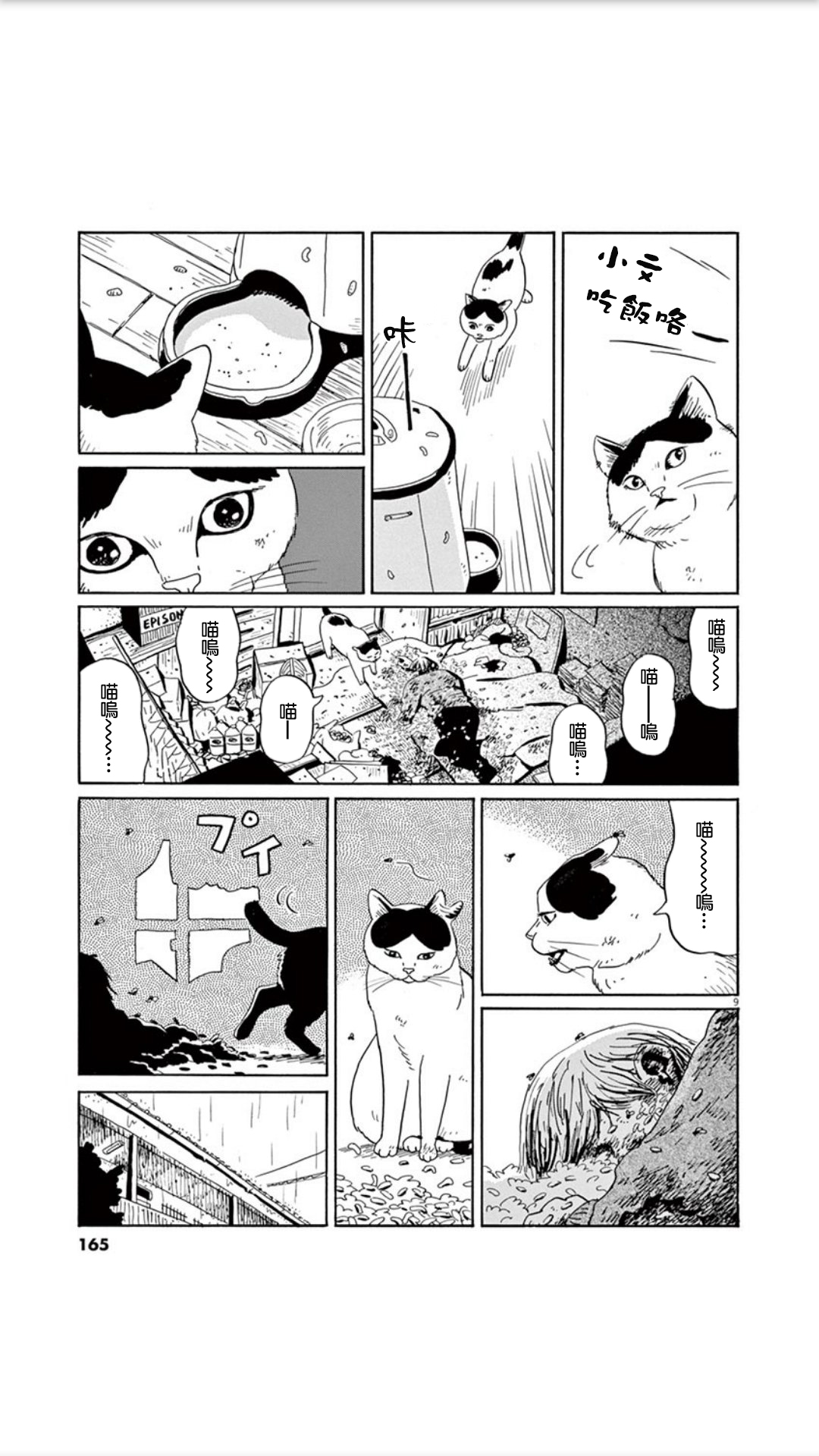 家猫小文的一年韩漫全集-短篇无删减无遮挡章节图片 