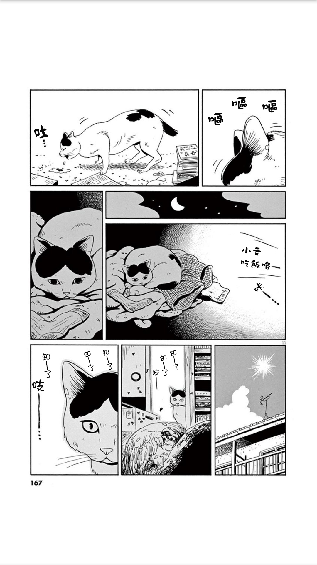 家猫小文的一年韩漫全集-短篇无删减无遮挡章节图片 