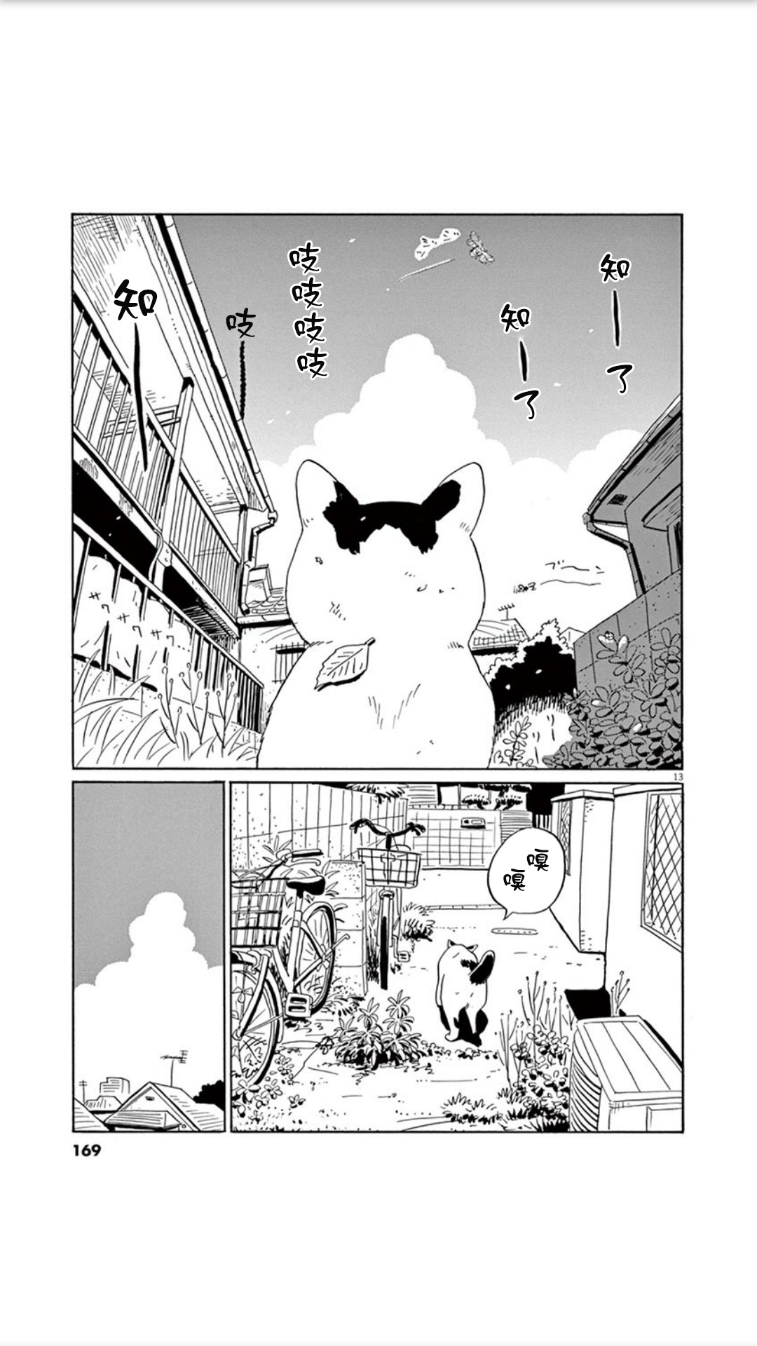 家猫小文的一年韩漫全集-短篇无删减无遮挡章节图片 