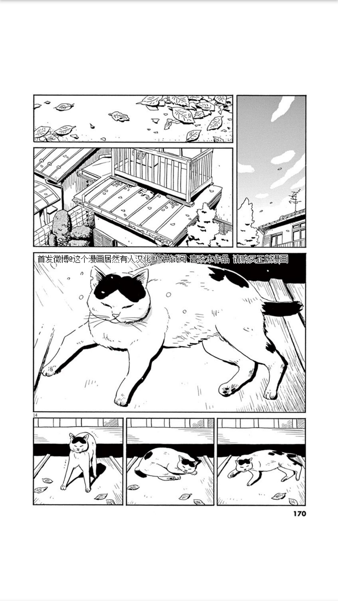 家猫小文的一年韩漫全集-短篇无删减无遮挡章节图片 