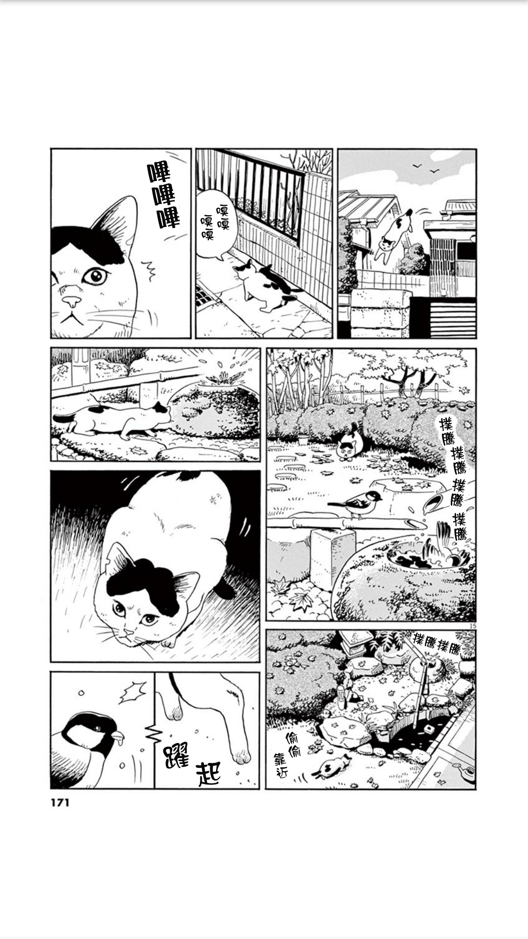 家猫小文的一年韩漫全集-短篇无删减无遮挡章节图片 