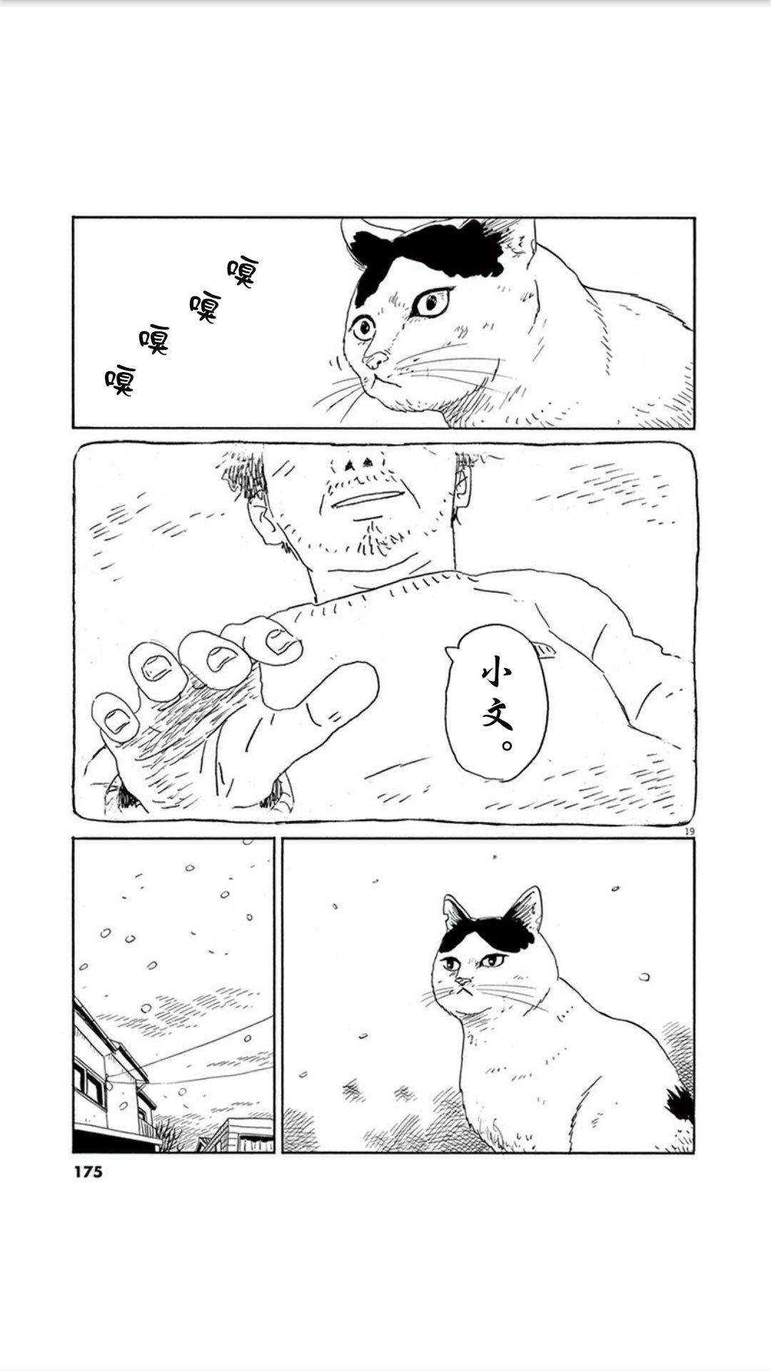 家猫小文的一年韩漫全集-短篇无删减无遮挡章节图片 