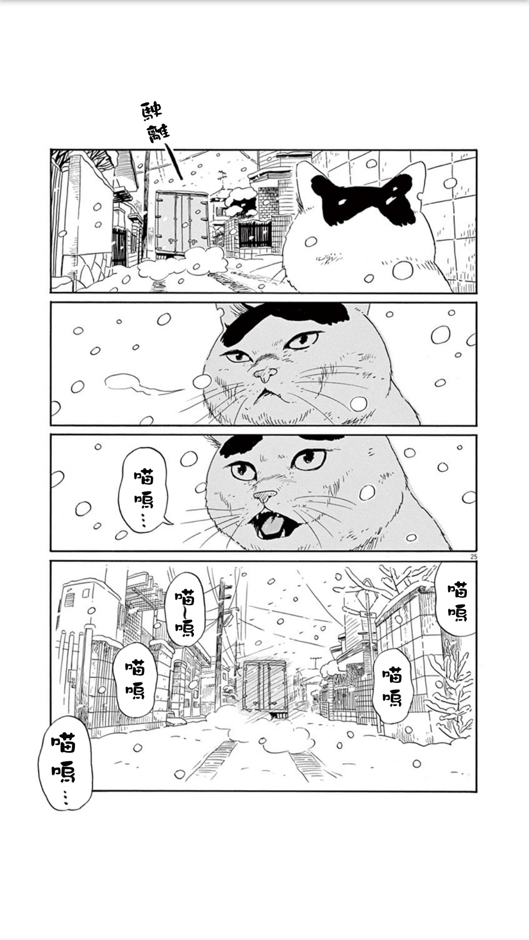 家猫小文的一年韩漫全集-短篇无删减无遮挡章节图片 