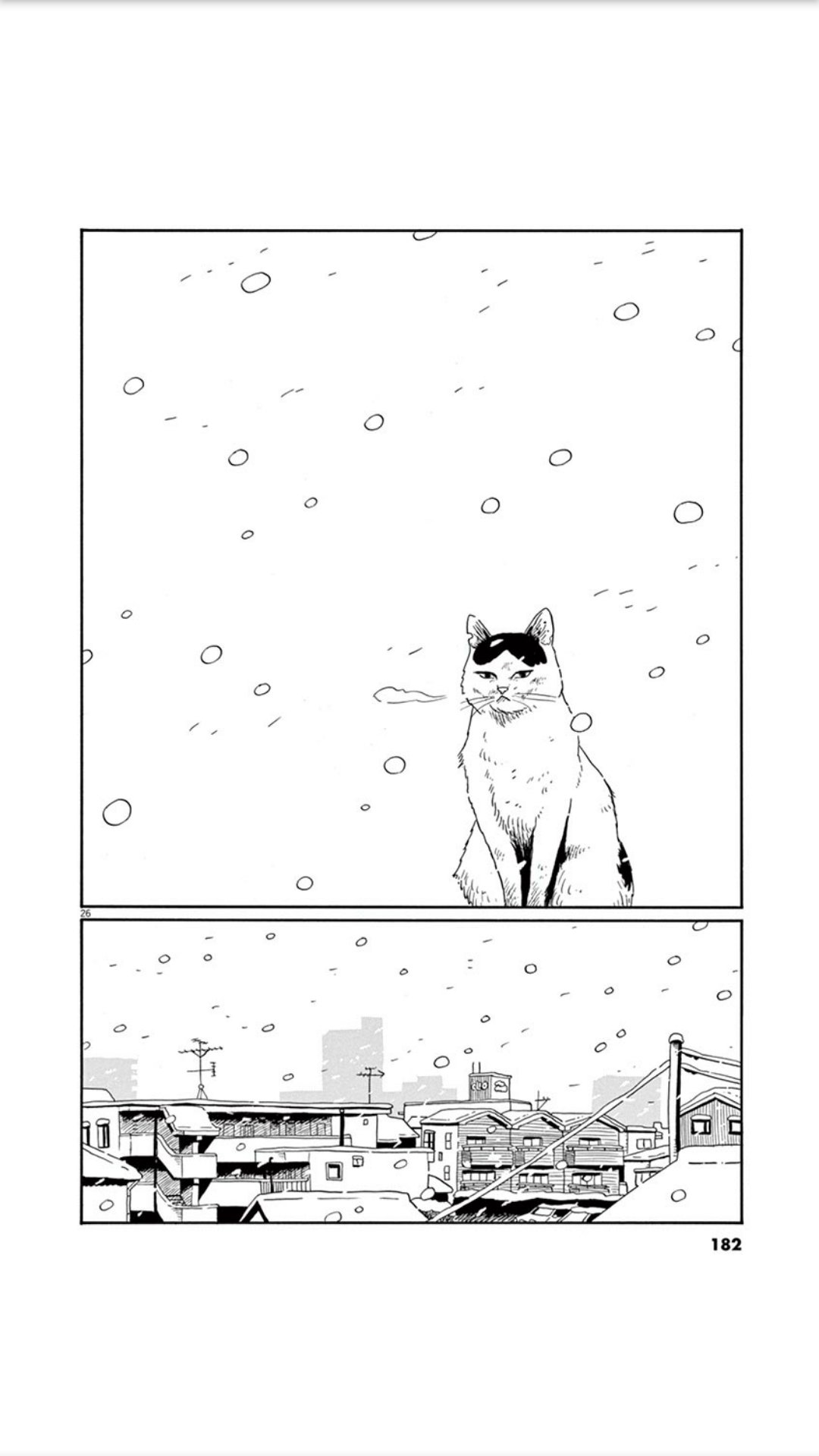 家猫小文的一年韩漫全集-短篇无删减无遮挡章节图片 