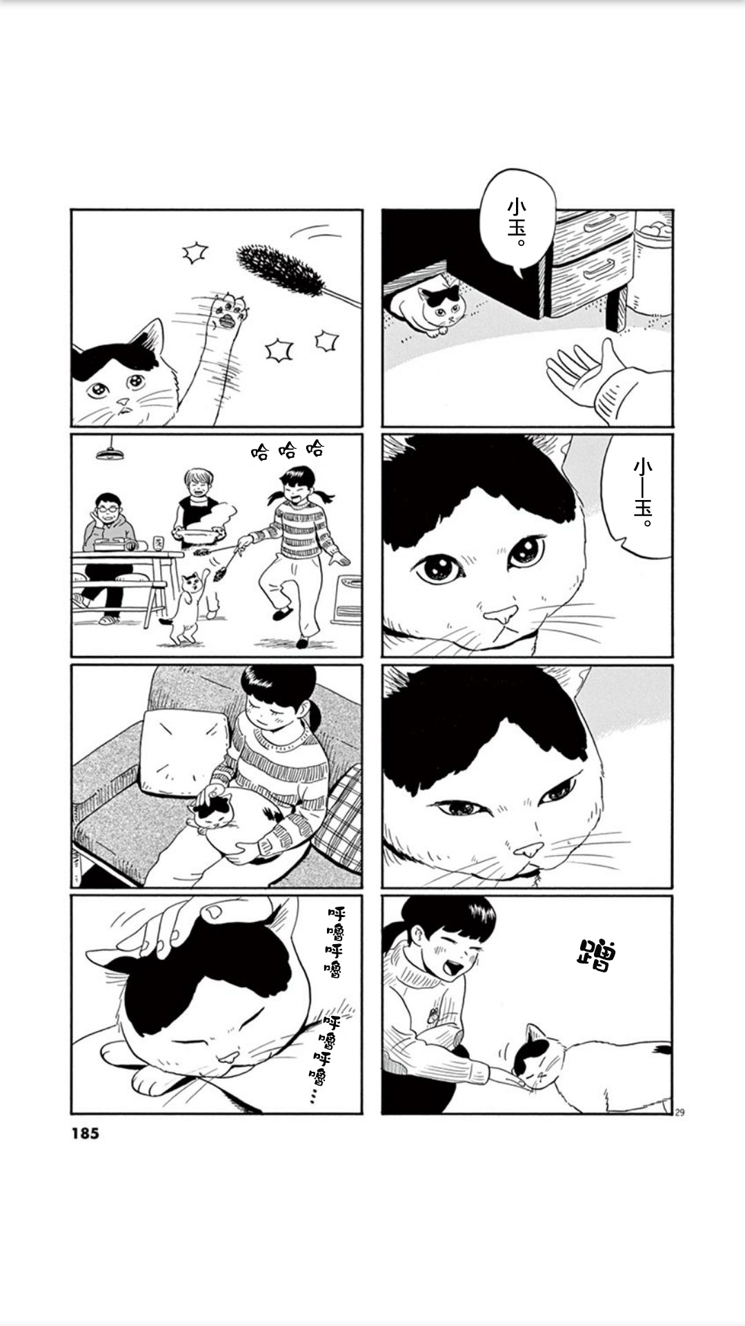 家猫小文的一年韩漫全集-短篇无删减无遮挡章节图片 