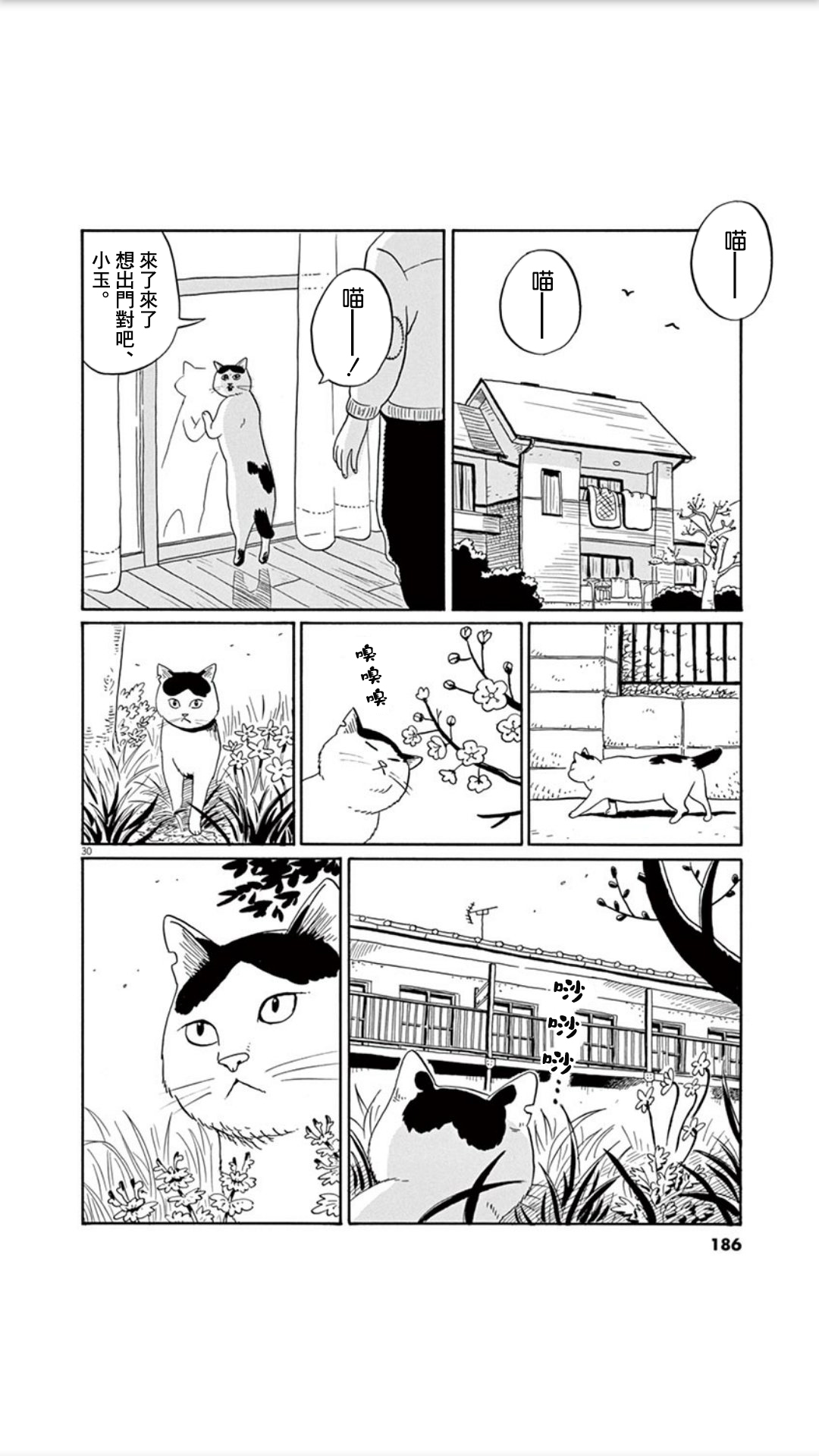 家猫小文的一年韩漫全集-短篇无删减无遮挡章节图片 