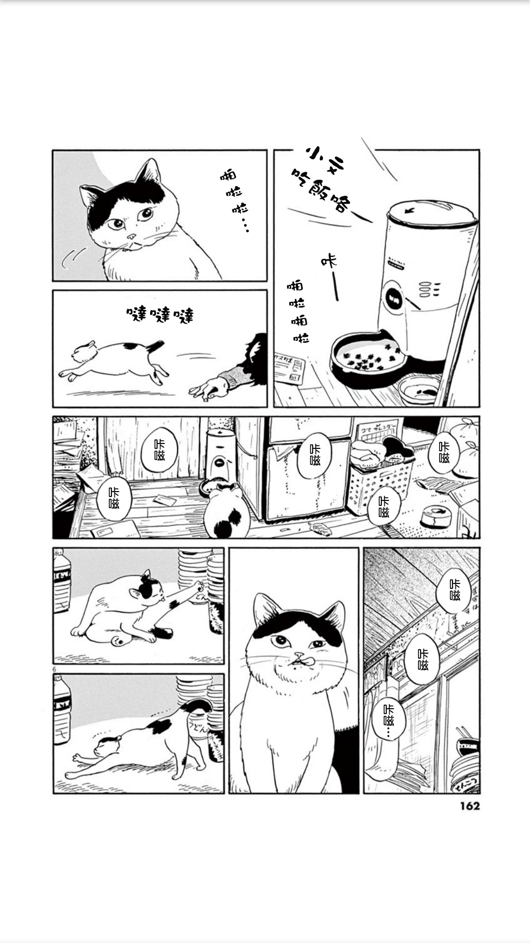 家猫小文的一年韩漫全集-短篇无删减无遮挡章节图片 