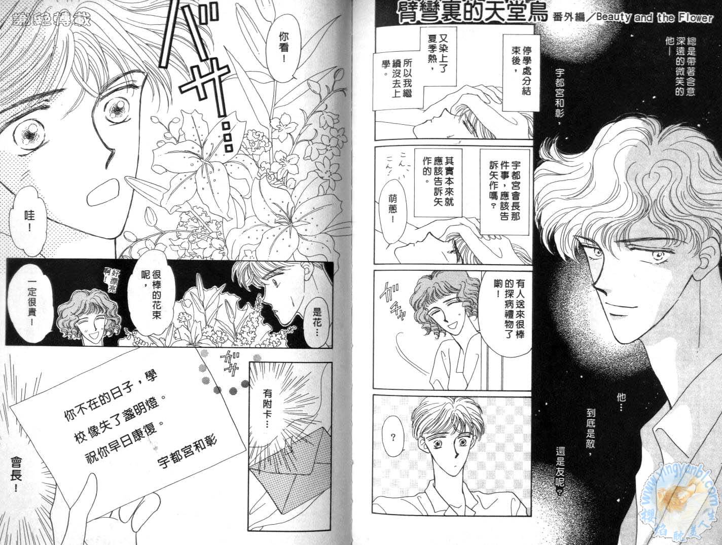 臂弯里的天堂鸟韩漫全集-VOL02无删减无遮挡章节图片 