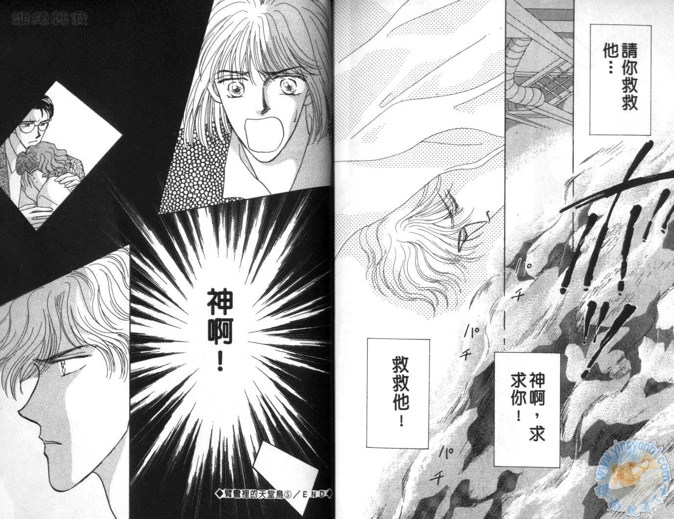 臂弯里的天堂鸟韩漫全集-VOL05无删减无遮挡章节图片 